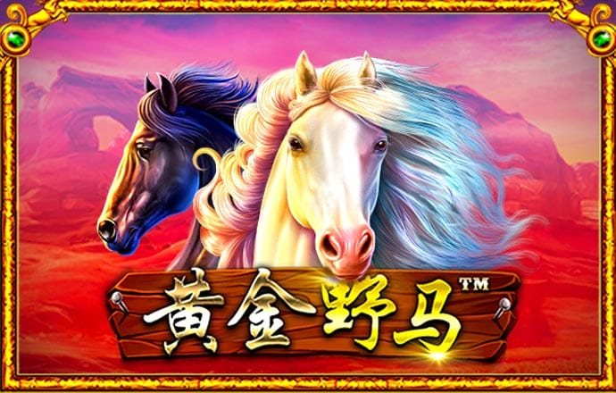澳门一点红图片