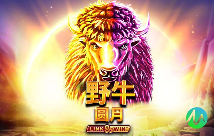 澳门一码一肖一特一中ta几si最新版