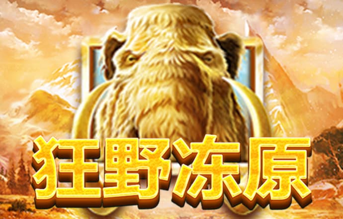 澳门黄信a资料